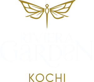 logo-2
